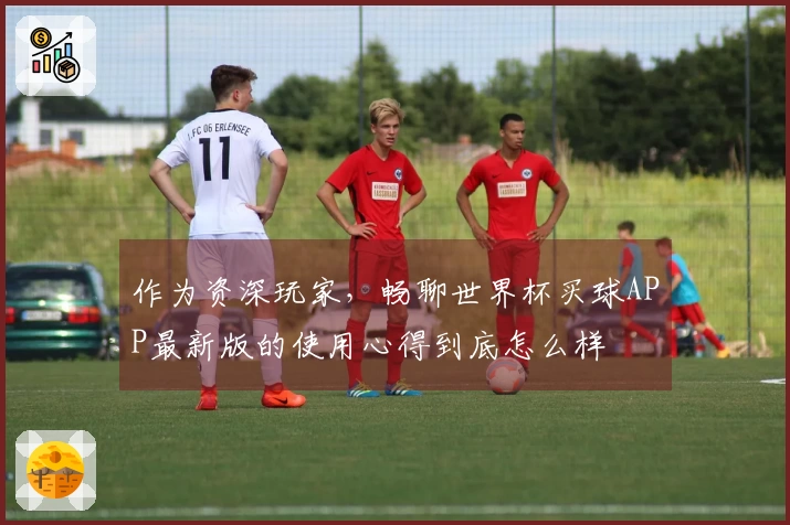 作为资深玩家,畅聊世界杯买球APP最新版的使用心得到底怎么样