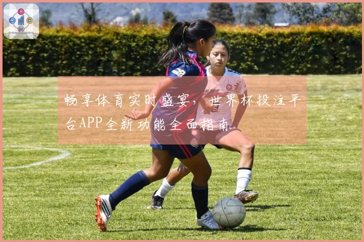 畅享体育实时盛宴，世界杯投注平台APP全新功能全面指南