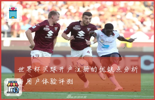世界杯买球开户注册的优缺点分析与用户体验评测