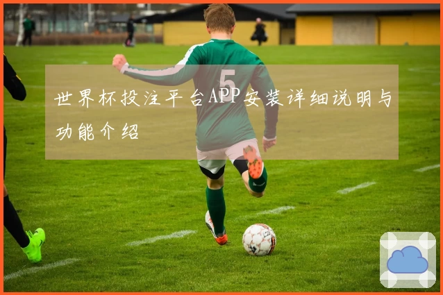 世界杯投注平台APP安装详细说明与功能介绍